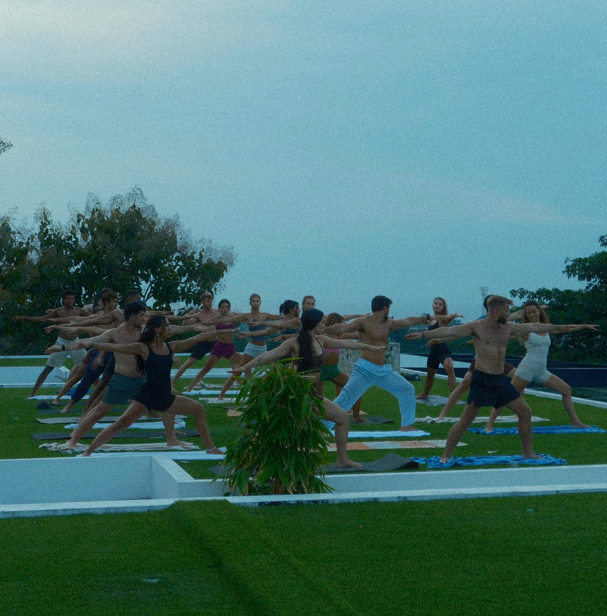 Yoga & Yap — back